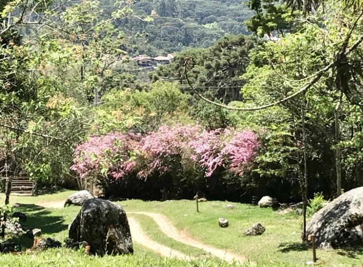 Pousada Villa Catarina جونكالفيس المظهر الخارجي الصورة